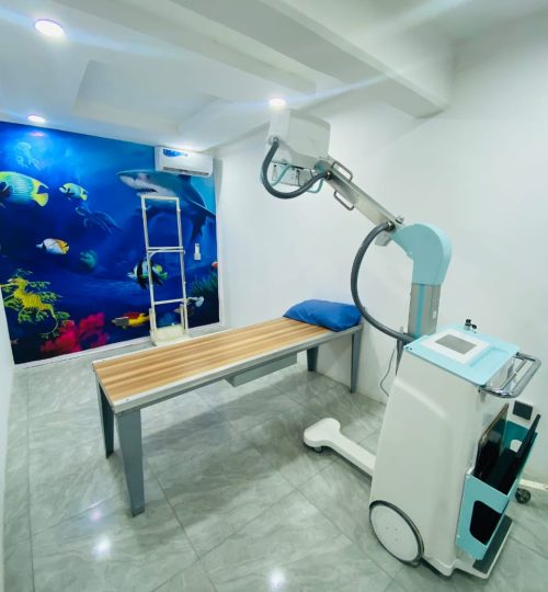 x-ray